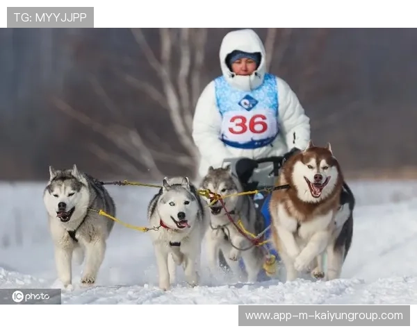 雪橇锦标：俄罗斯队稳居金牌榜，冲击纪录！，俄罗斯雪橇犬